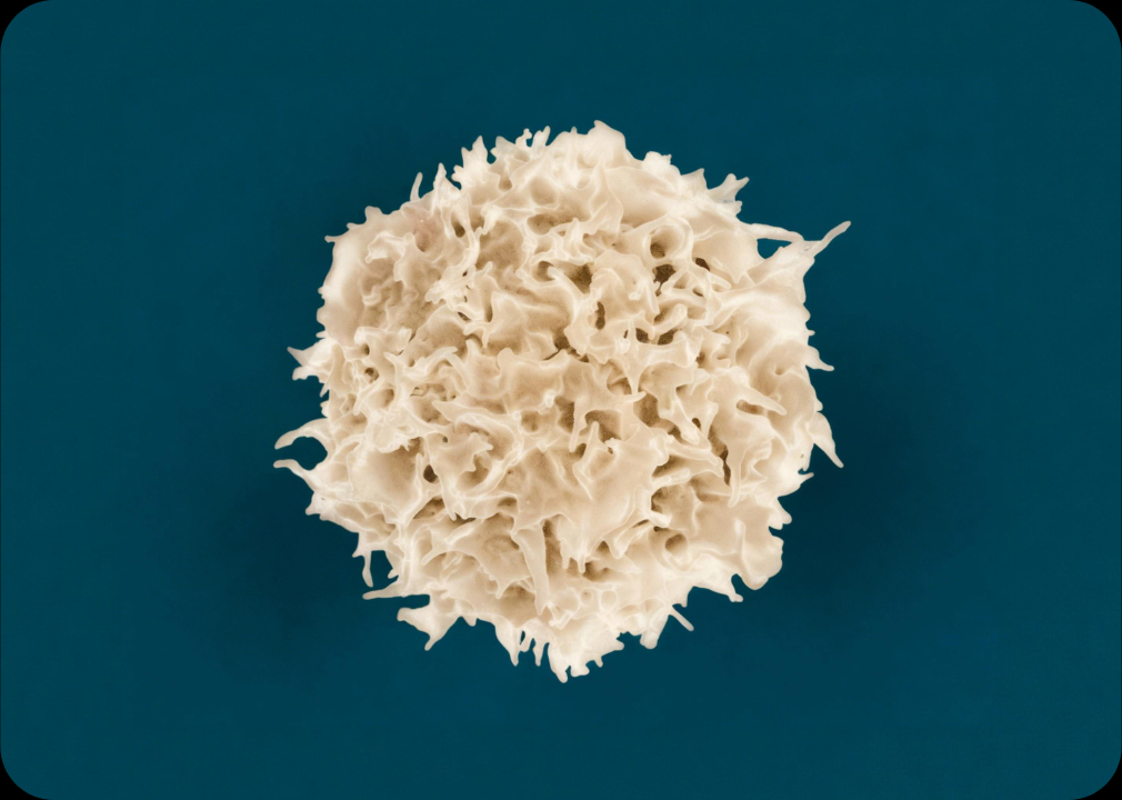 2024 Oncology Research Review: A Revolutionary Leap in Cancer Treatment
